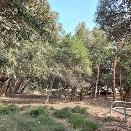 Kas - 3 Bedrooms Holiday home *